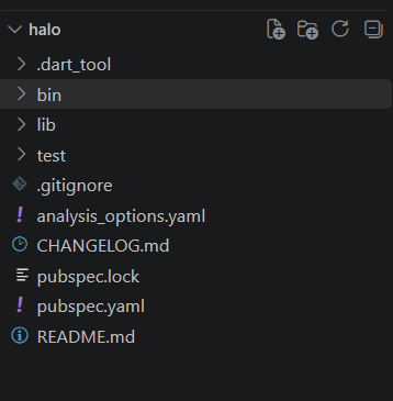 Project Dart di VS Code
