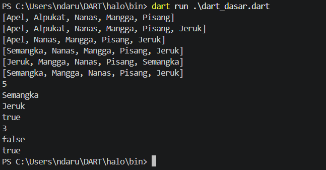 Hasil program List
