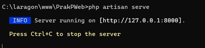 Laravel Serve